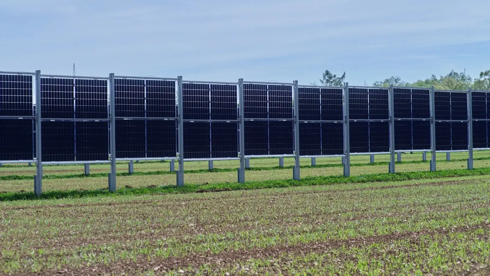 Rows of solar panels in an agricultural field