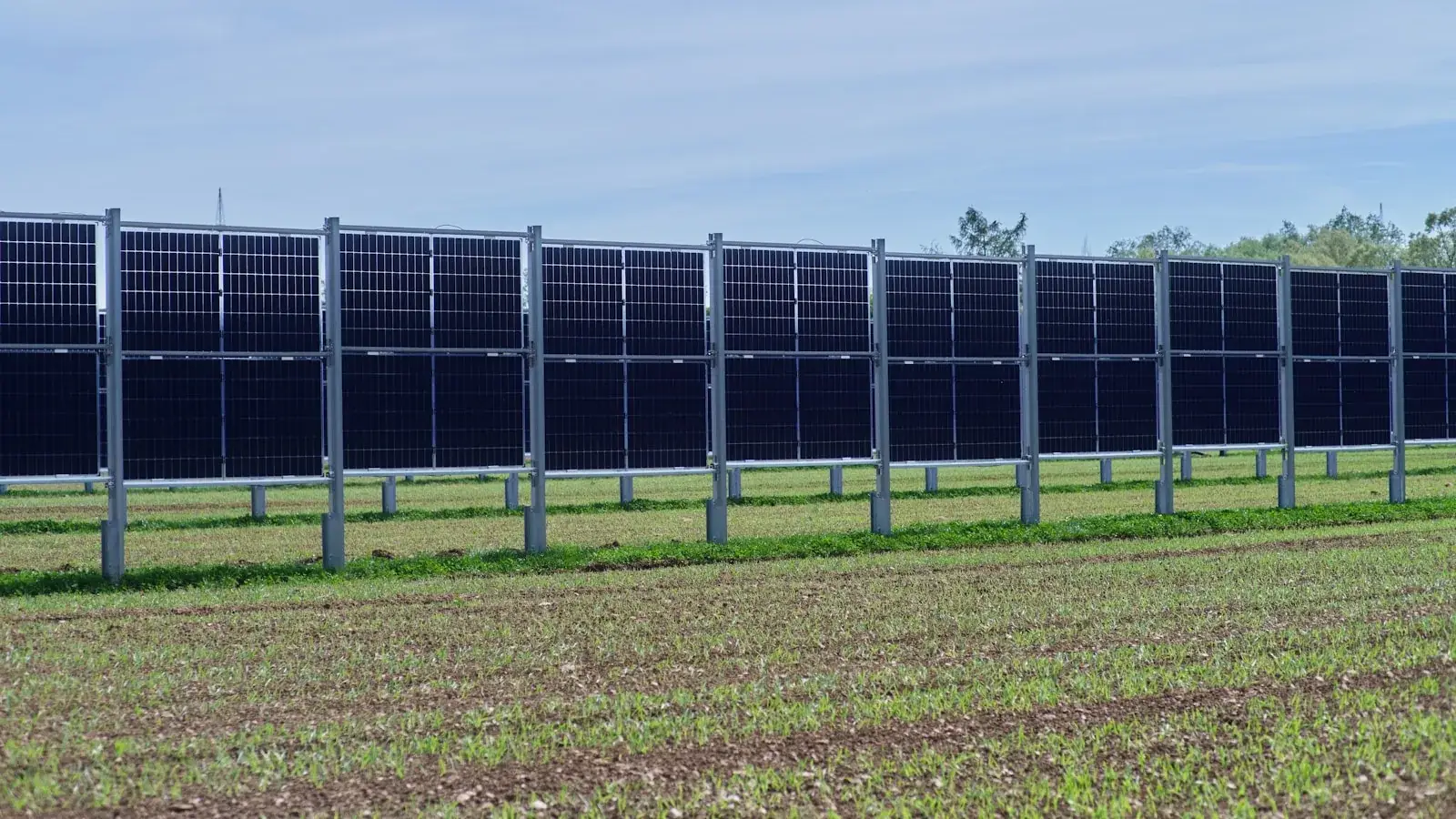 Rows of solar panels in an agricultural field